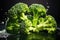 Healthy green organic raw broccoli florets