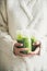 Healthy green smoothie or juice in bottles in woman`s hands