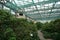 Healthy green trees grows in greenhouse, ecological balance of planet