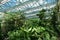 Healthy green trees grows in greenhouse, ecological balance of planet