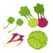 Healthy greens and vegetables isolated cartoon illustrations set