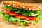 Healthy grilled vegan sandwich made of sprouted organic bread, tomato, cucumber, spinach and arugula