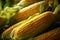 Healthy harvest Ripe maize plant closeup, green and yellow goodness