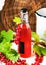 Healthy homemade red currant syrup in a glass bottle for cold summer drinks. Rustic style.