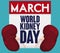 Healthy Kidneys and Calendar for World Kidney Day Celebration, Vector Illustration