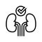 healthy kidneys line icon vector illustration