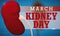 Healthy Kidneys Over Medical Exam and Sign for Kidney Day, Vector Illustration