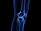 the healthy knee joint