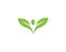 Healthy Leaf Logos Vector Icon