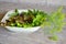Healthy lifestyle. Healthy eating. Fresh salad. Variety fresh organic herbs lettuce, basil, arugula, dill, mint, red lettuce on