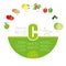 Healthy lifestyle infographic - vitamin C in fruits and vegetables.