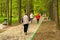 Healthy lifestyle. Nordic walking. Adult man and two women are engaged in athletic walking