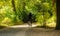 Healthy lifestyle. Woman is riding a bike in a path of Tiergarten park, Berlin, Germany. Nature background