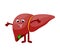 Healthy liver cartoon character standing.