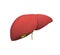 Healthy liver realistic flat medicine vector illustration