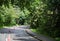 Healthy Living - Special Road Demarcation, Cone Barrier for Bike Lane in Stanley Park, Vancouver. The road in the forest. Walks in