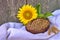 Healthy loaf of wholewheat bread with sunflower
