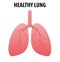 Healthy lungs cartoon flat icon for web design isolated on white background. Scientific medical illustrations of human lungs. Pneu