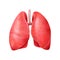 Healthy Lungs Realistic Composition