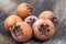 Healthy Medlars