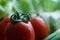 Healthy nutrition with fresh raw vegetables: close up detail of a tomato in the foreground on green vegetables in background bokeh