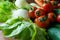 Healthy nutrition with fresh raw vegetables: a low angle close up view of a group of salad ingredients, lettuce, tomatoes,