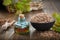 Healthy oak bark in black ceramic bowl, infusion or tincrure bottle, green oak leaves on table. Alternative medicine