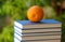 Healthy orange and book