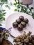 Healthy organic date energy balls with dark chocolate, dried fruits and nuts. Food for healthy lifestyle.