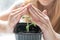 Healthy organic food concept. Close up of hands children hold seedling tomato In peat pot. Seedling green plant of