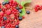 Healthy organic forest berry fruit - healthy food