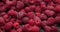 Healthy Organic Fresh Juicy Raspberry Fruit Berrie Macro Background