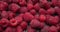 Healthy Organic Fresh Juicy Raspberry Fruit Berrie Macro Background