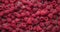 Healthy Organic Fresh Juicy Raspberry Fruit Berrie Macro Background