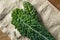 Healthy Organic Green Lacinato Kale