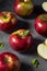 Healthy Organic Mcintosh Apples