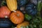 Healthy organic vegetables. Different types of pumpkin in orange,