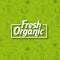 Healthy organic vegetarian foods related icons image