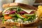 Healthy Organic Veggie Garden Sandwich