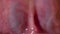 Healthy pink human tongue in macro