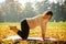 Healthy pregnancy - exercising outdoor