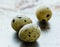 Healthy quail eggs