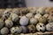 Healthy quail eggs stock photo. Easter Background stock photo.