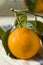 Healthy Raw Organic Satsuma Mandarin Oranges