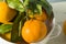 Healthy Raw Organic Satsuma Mandarin Oranges