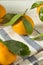 Healthy Raw Organic Satsuma Mandarin Oranges