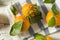 Healthy Raw Organic Satsuma Mandarin Oranges