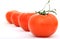 Healthy red cherry tomato with green stalk