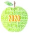 Healthy resolutions 2020 word cloud