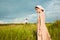 The healthy rural life. The woman and man in the green field